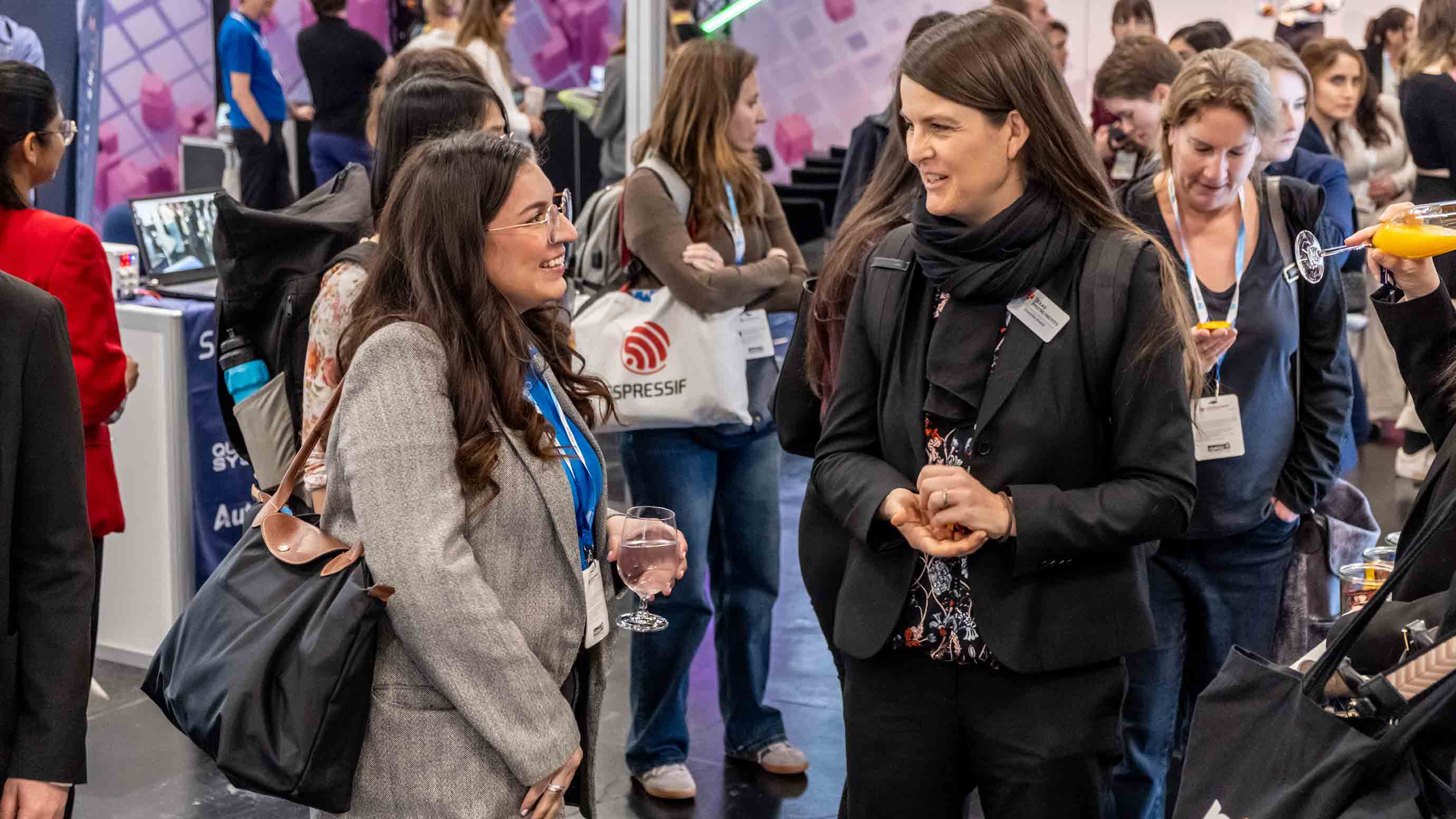 Two female experts networking
